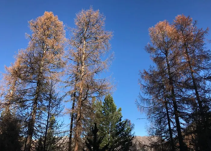 Gasthof Garni Soldanella Samnaun