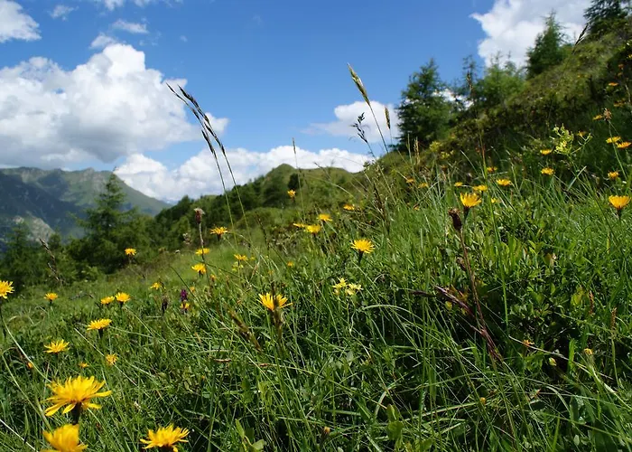 Garni Soldanella Samnaun