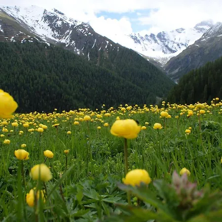 Garni Soldanella Pensionat