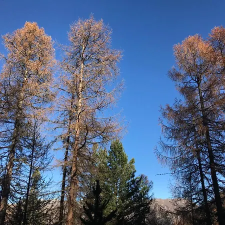 Pensjonat Garni Soldanella Samnaun