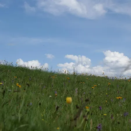 Garni Soldanella Pensión