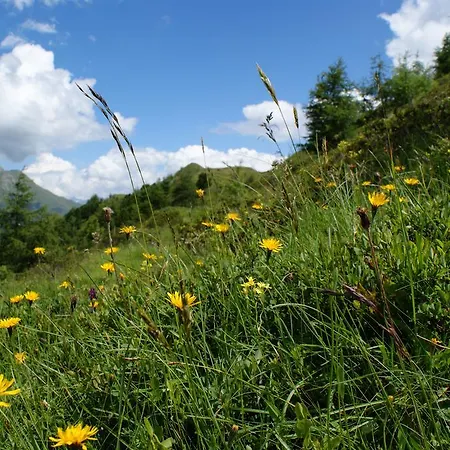 Garni Soldanella Samnaun