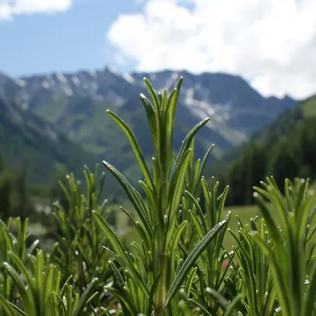 Garni Soldanella Samnaun