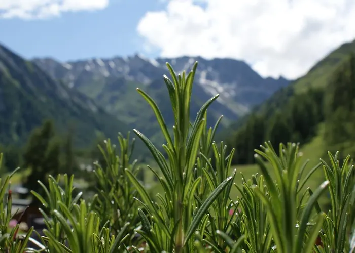 Garni Soldanella Samnaun